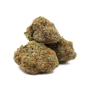 Gelato