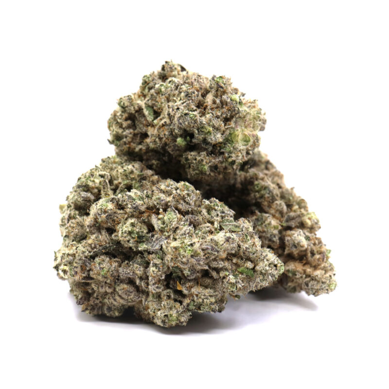 Jungle Fire – ($.$.$.$)